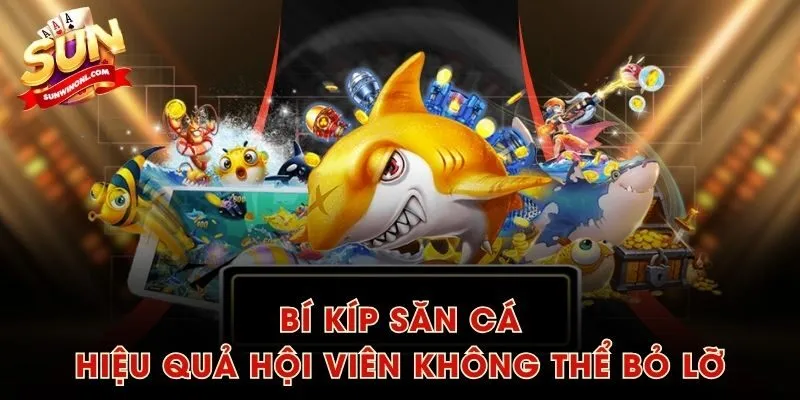 Bí kíp săn cá hiệu quả hội viên không thể bỏ lỡ