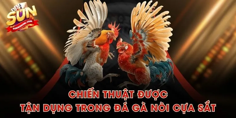 Chiến thuật được tận dụng trong đá gà nòi cựa sắt