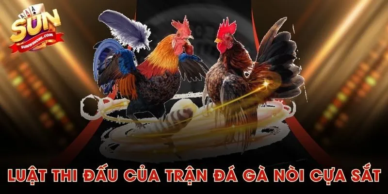 Luật thi đấu của trận đá gà nòi cựa sắt