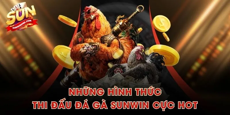 Những hình thức thi đấu Đá Gà SUNWIN cực hot
