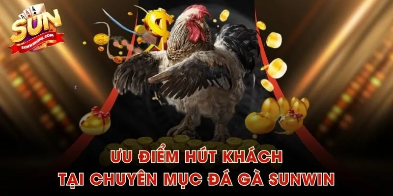 Ưu điểm hút khách tại chuyên mục Đá Gà SUNWIN